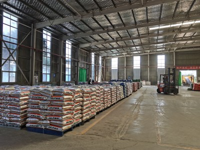 Quines són les teves opcions per netejar la malaltia de l'orella blava?